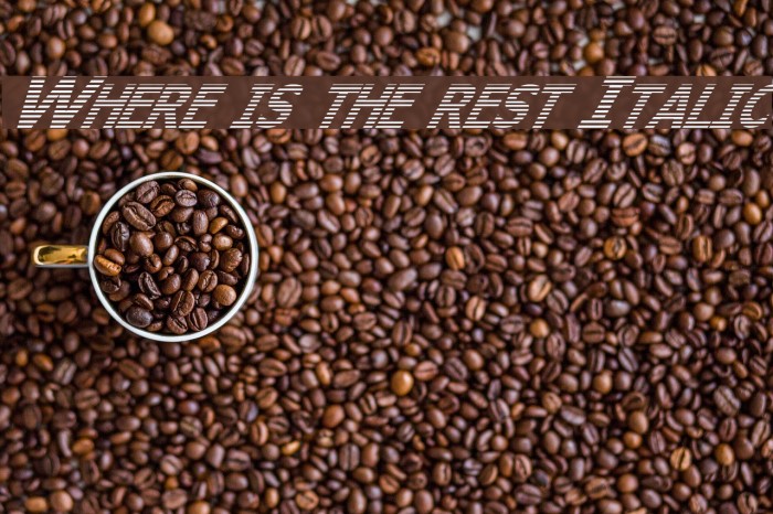 Where is the rest Italic Font examples