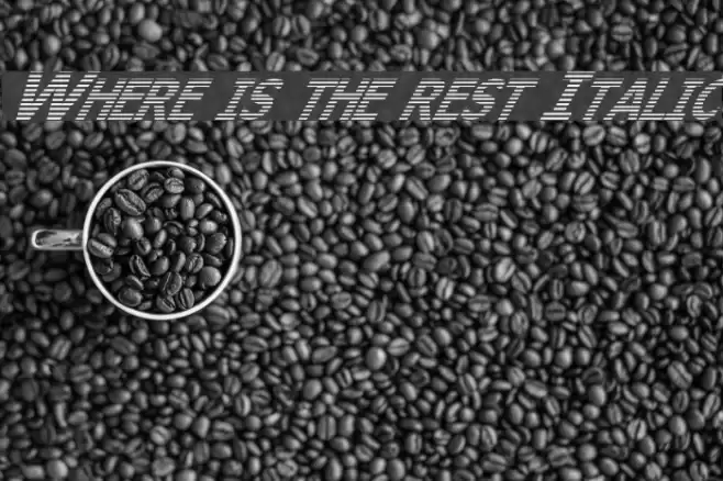 Where is the rest Italic Font examples