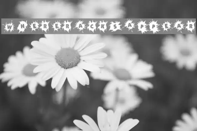 WhereCracksAppear Font examples
