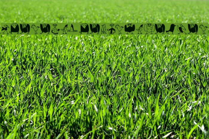 WhereIsTheBirdsDealer Font examples