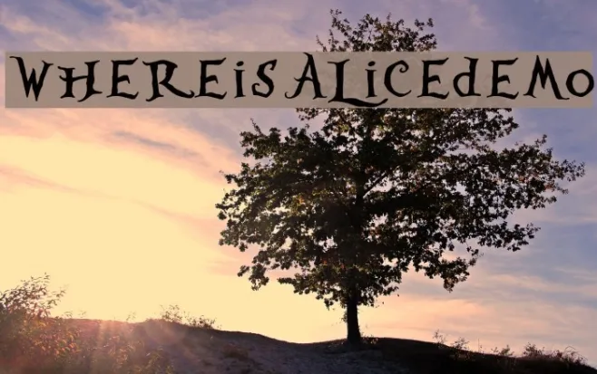 WhereisAlicedemo Example 1