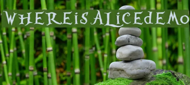 WhereisAlicedemo Example 2