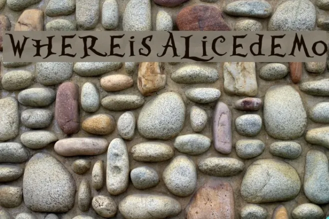 WhereisAlicedemo Example 3