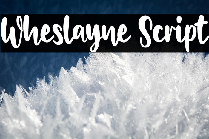 Wheslayne Script Example 1