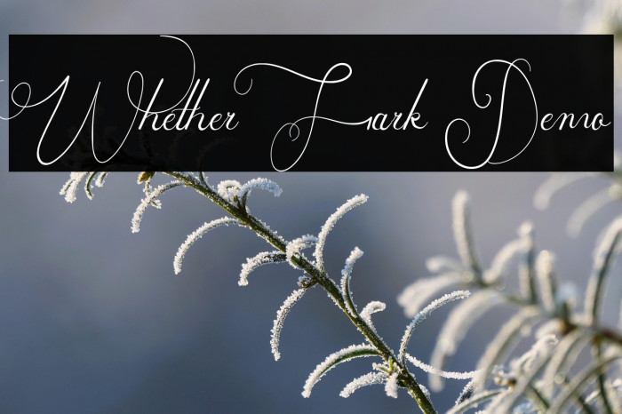 Whether Fark Demo Example 3