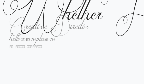 Whether Fark Demo Business Card