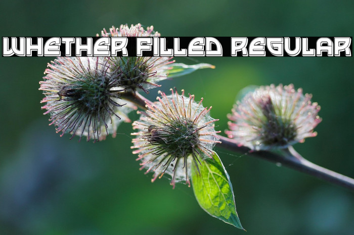 Whether Filled Regular Example 1