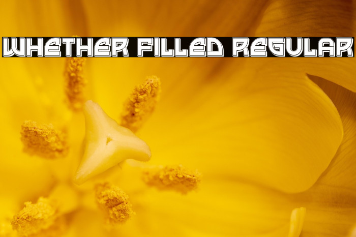 Whether Filled Regular Example 2