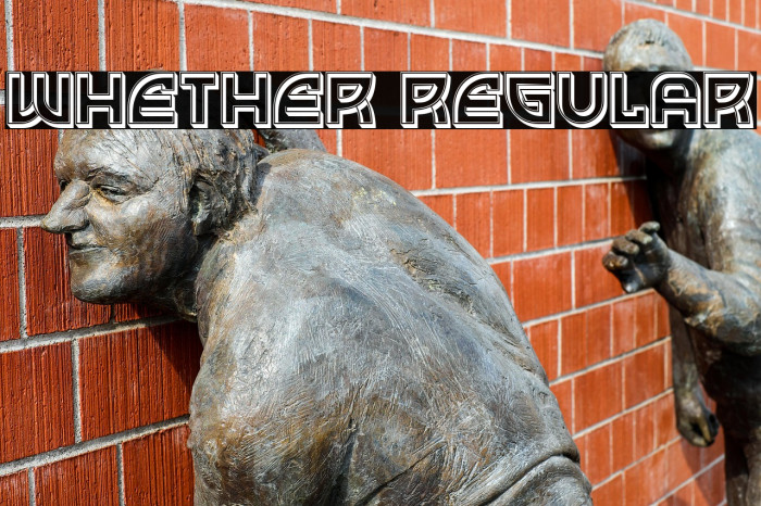 Whether Regular Example 1