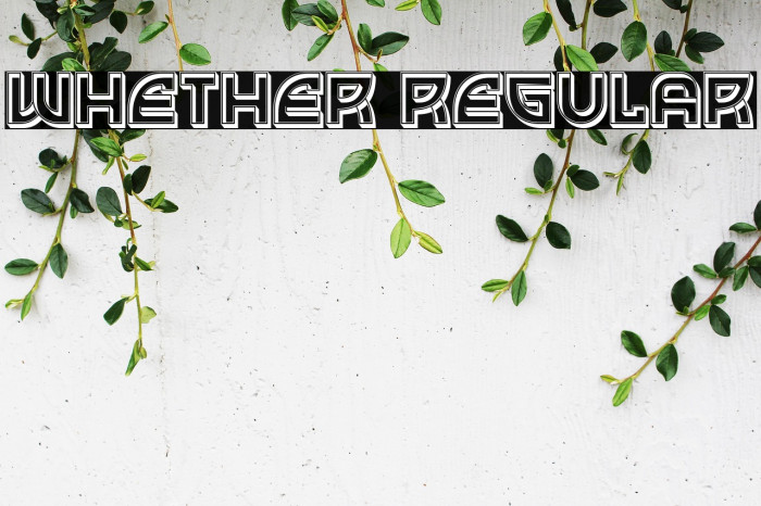 Whether Regular Example 3