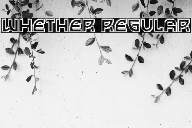Whether Regular Font examples