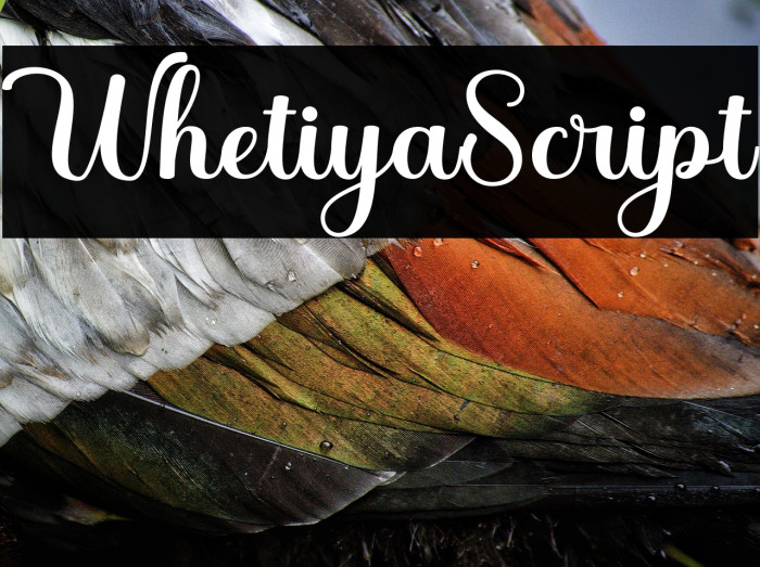 WhetiyaScript Example 2