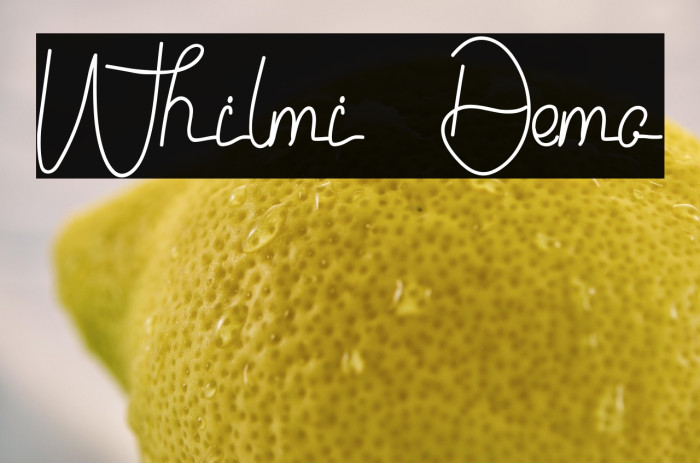 Whilmi Demo Example 2