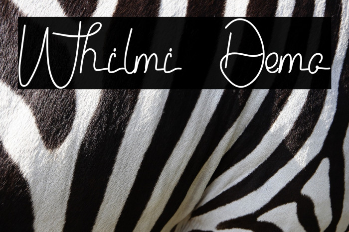 Whilmi Demo Example 3
