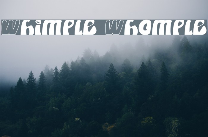 Whimple Whomple Font examples