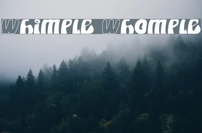 Whimple Whomple Example 2