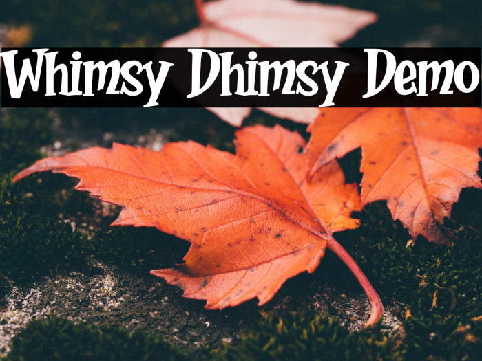 Whimsy Dhimsy Demo Font examples