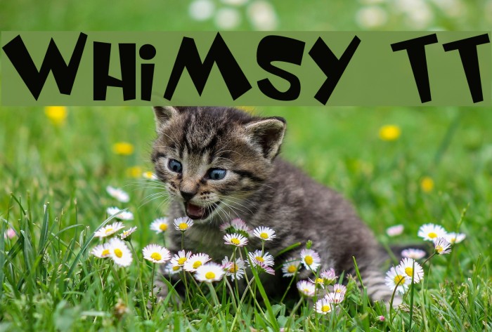 Whimsy TT Font examples