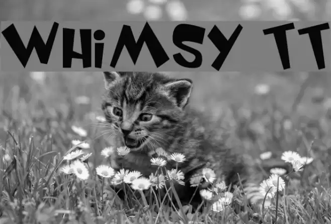 Whimsy TT Polices examples