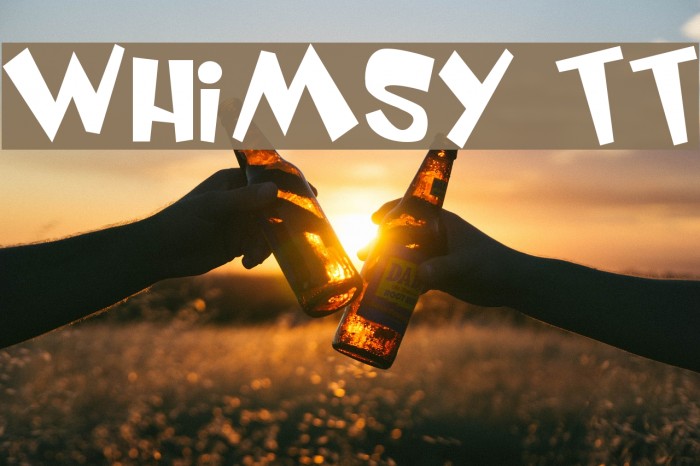 Whimsy TT Font examples