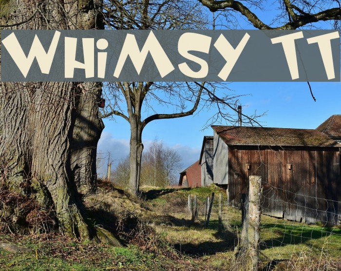 Whimsy TT Font examples
