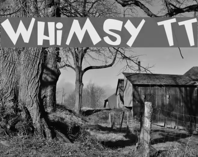 Whimsy TT Polices examples