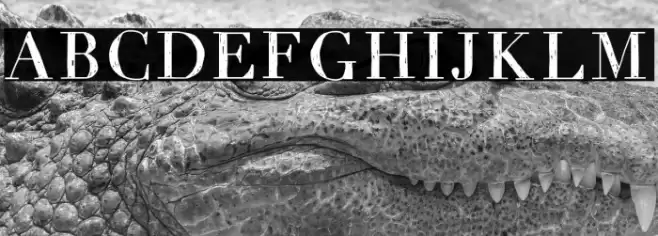 Whimsy Font examples