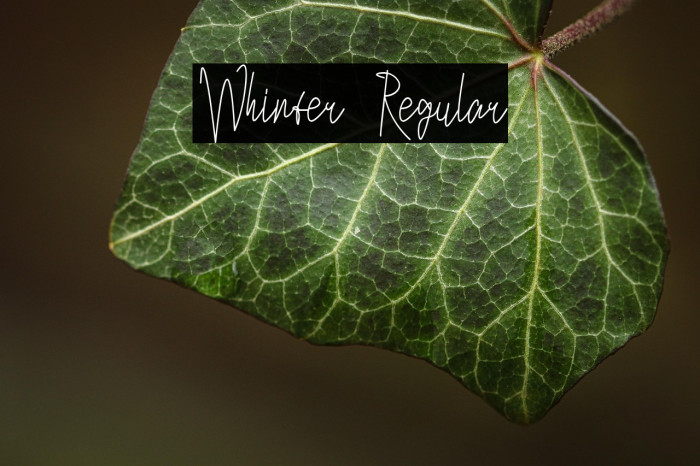 Whinter Regular Example 2