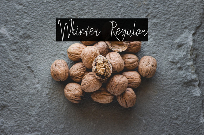 Whinter Regular Example 3