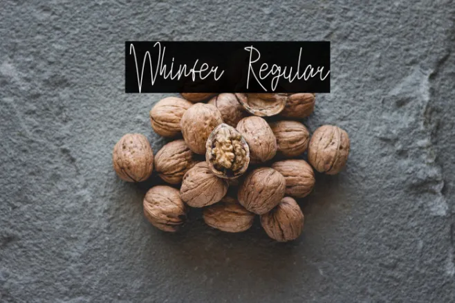 Whinter Regular Example 3