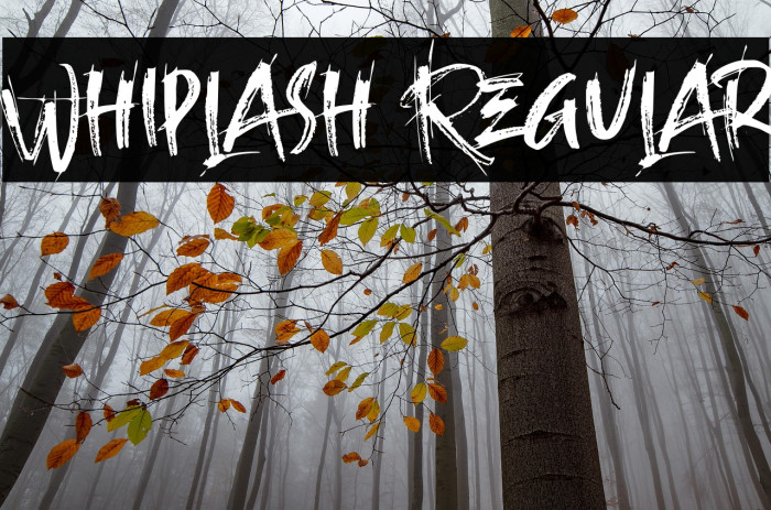 Whiplash Regular Example 1