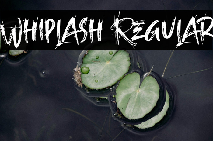 Whiplash Regular Example 2