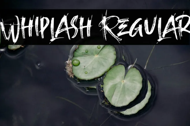 Whiplash Regular Example 2
