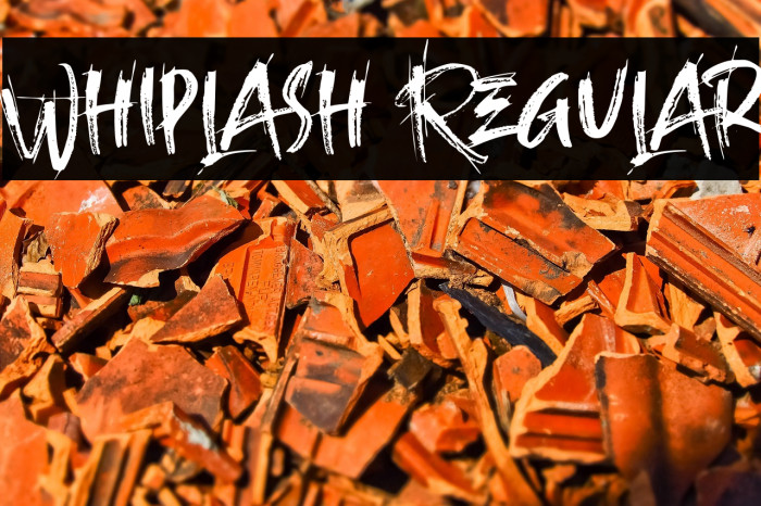 Whiplash Regular Example 3