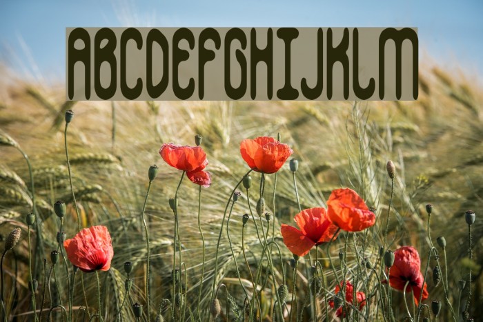 Whippersnapper BRK Font examples