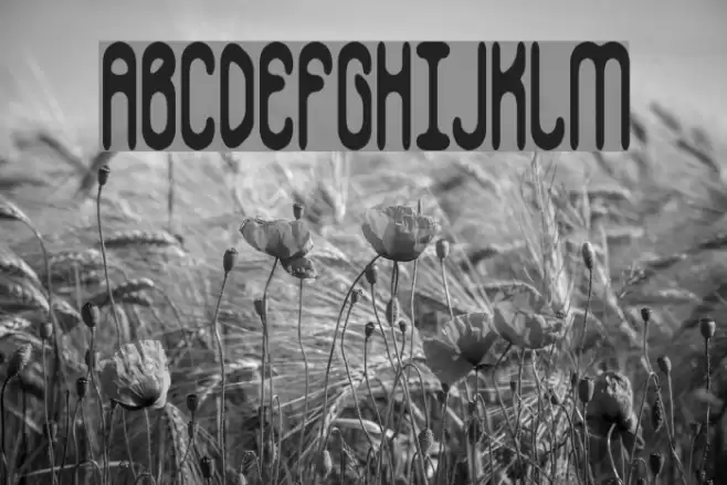 Whippersnapper BRK Font examples