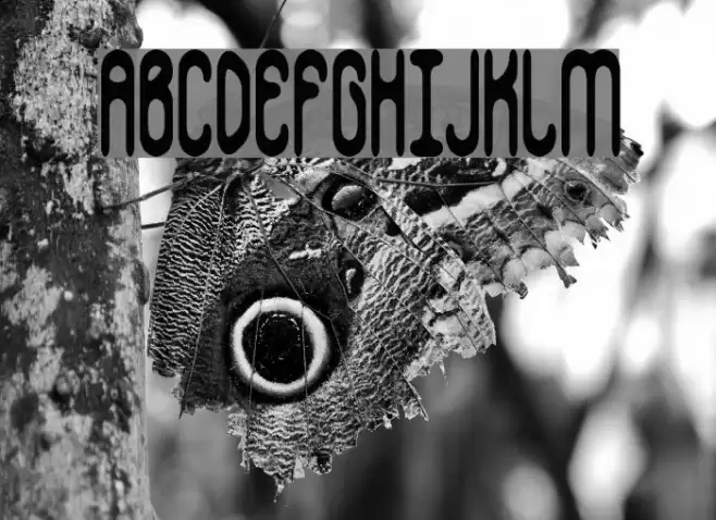 Whippersnapper BRK Font examples