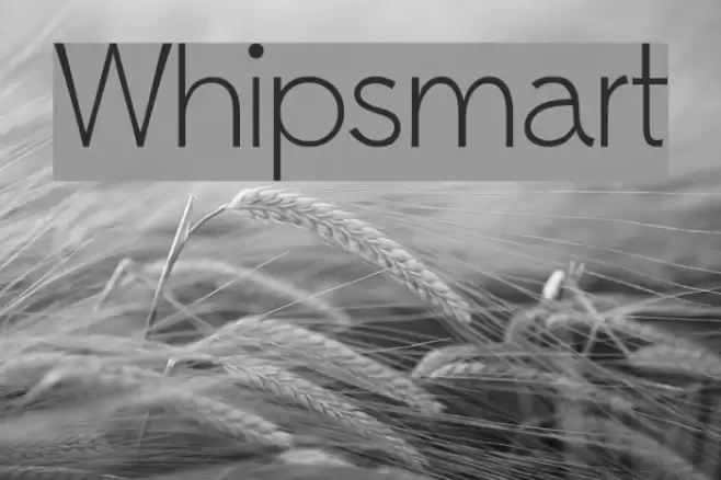 Whipsmart Font examples