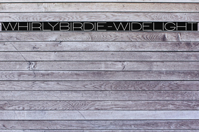 WhirlyBirdie-WideLight Example 1
