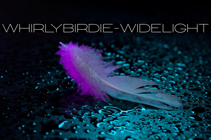 WhirlyBirdie-WideLight Example 2
