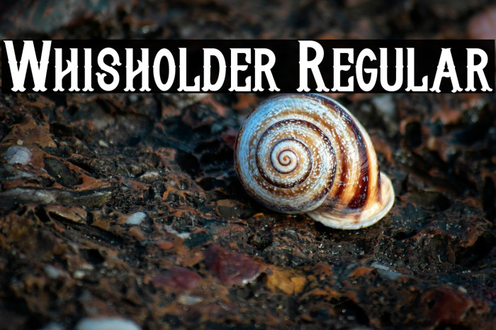 Whisholder Regular Example 1