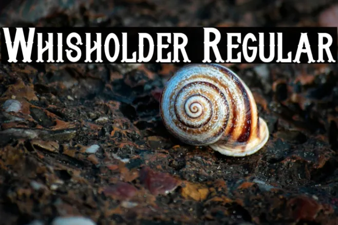 Whisholder Regular Example 1