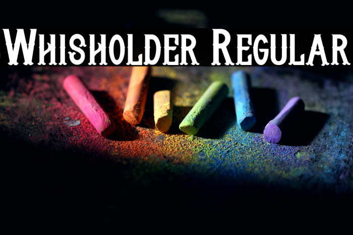 Whisholder Regular Example 2