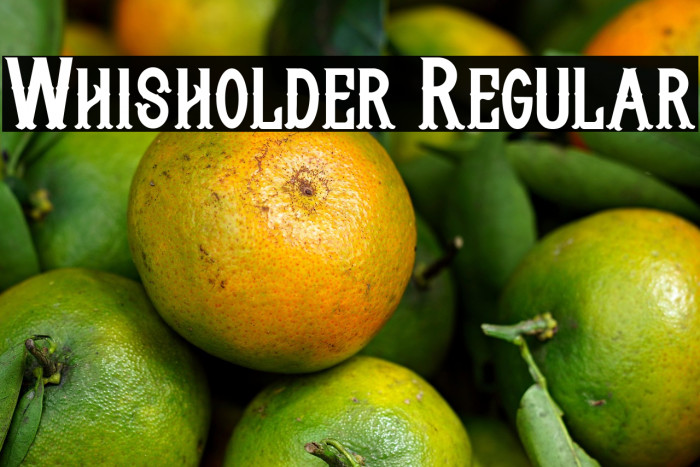 Whisholder Regular Example 3