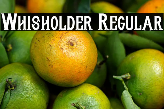 Whisholder Regular Example 3