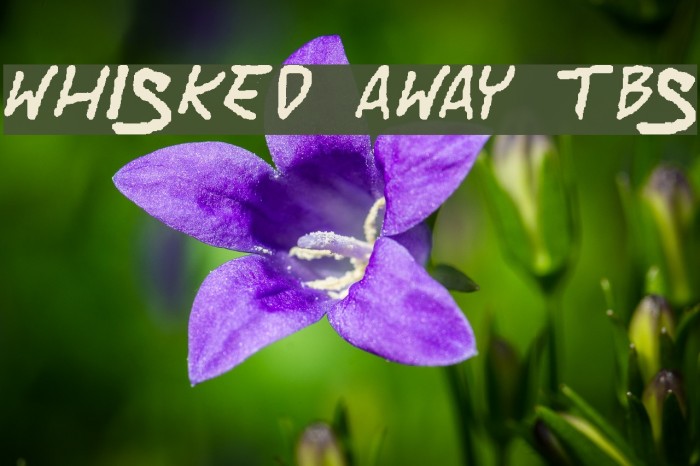 Whisked Away TBS Font examples