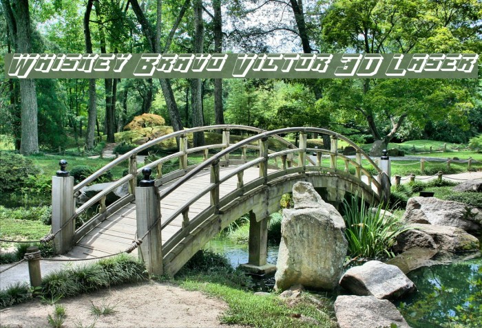 Whiskey Bravo Victor 3D Laser Example 1