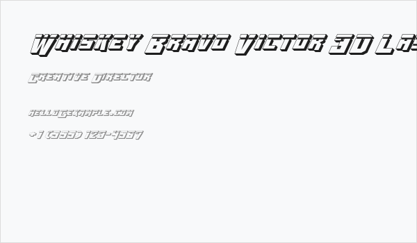 Whiskey Bravo Victor 3D Laser Business Card