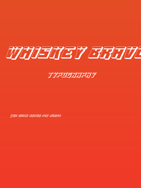 Whiskey Bravo Victor 3D Laser Poster
