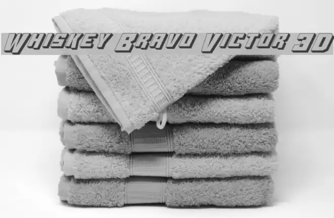 Whiskey Bravo Victor 3D Font examples